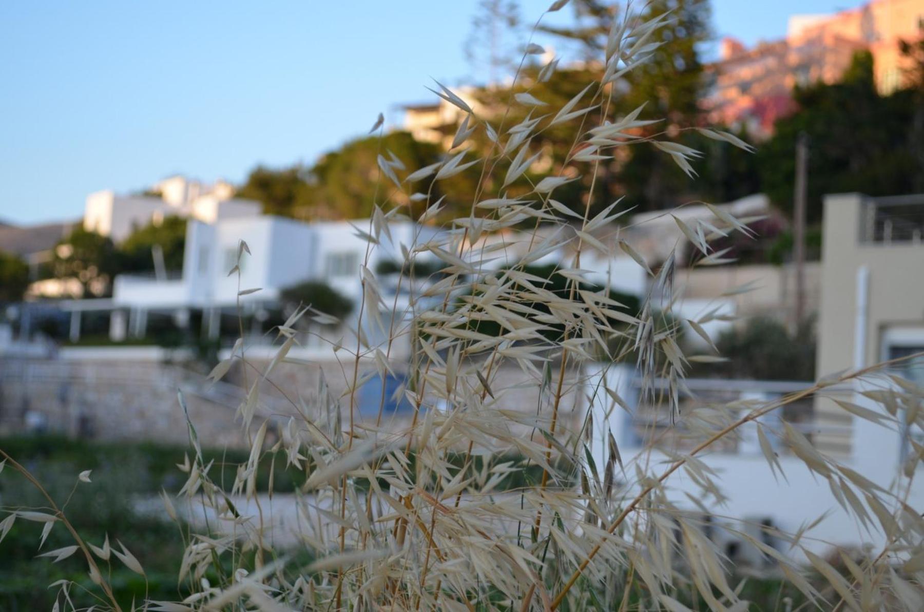 White Lotus Seaside Apartment Kini Eksteriør bilde